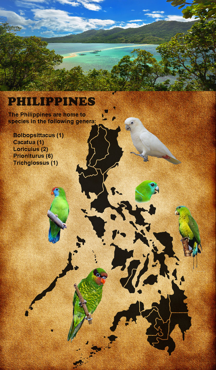 Philippine background