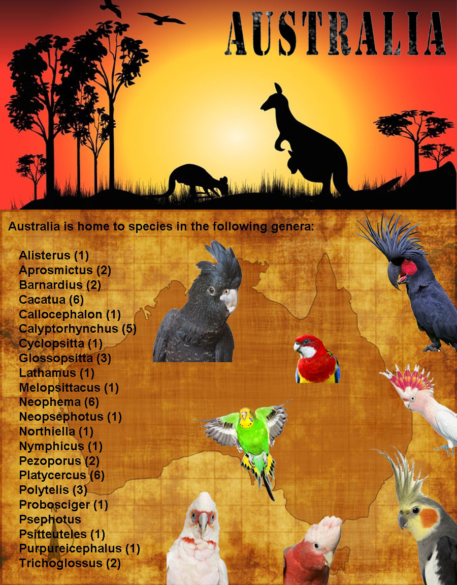 australia background