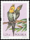 stamp Cockatiel2